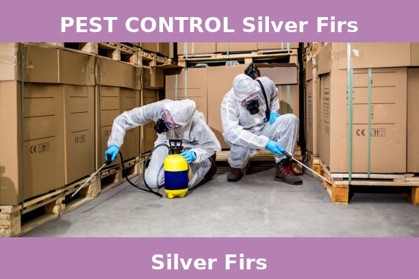 PEST CONTROL Silver Firs